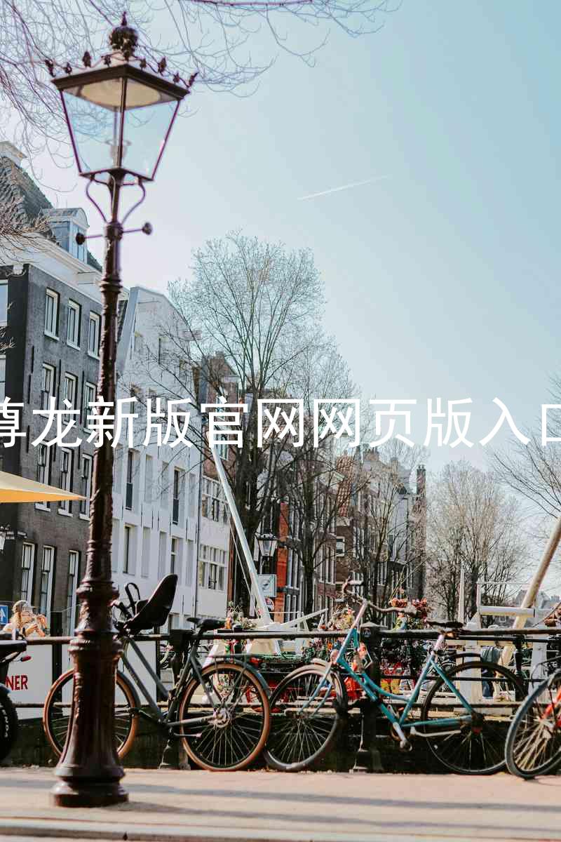 尊龙新版官网网页版入口